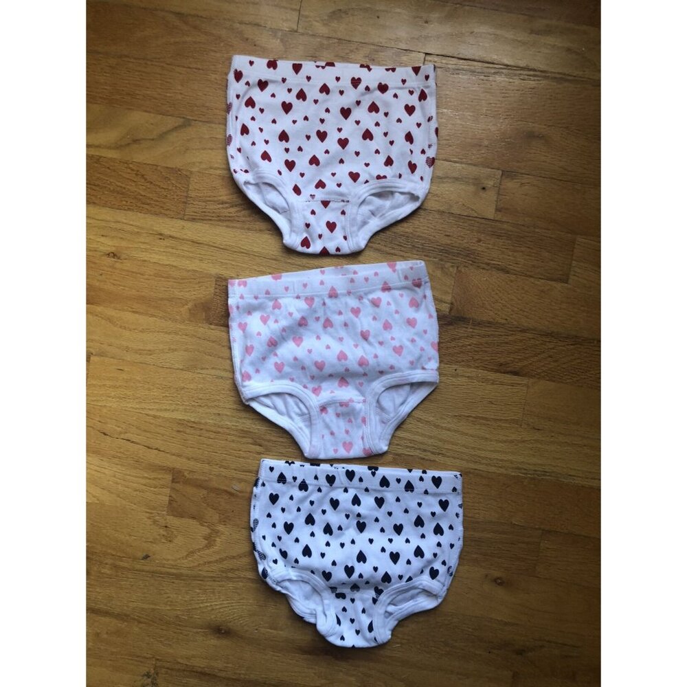 Hanna Andersson 3 Pack Briefs Underpants Size 4-5